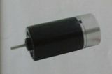 Brushless Motor for Remedy Appliance