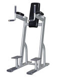 Preacher Curl Exercise Machines/Gymnastics Equipment