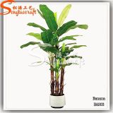 China Cheap High Quality Artificial Evergreen Banana Bonsai Tree