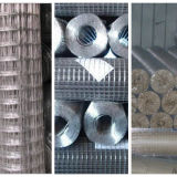 Steel Welded Wire Mesh with PVC Coating Galvanization/ISO9001 Welded Wire Mesh