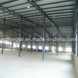 Top Steel Structure Building Made in China (LTX303)