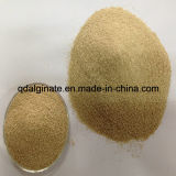 Sodium Alginate Textile Grade 2% 800cps for Bangladesh