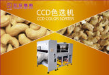 CCD Camera China Belt-Type Cashew Nuts Color Sorter Machine, Cashew Processing Machinery (6SXHS-LH090A56A)