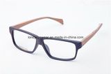 2015 Latest Acetate Eyewear (TA251005-C62)