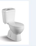 Watermark Washdown Two-Piece Toliet (CE-T193)