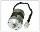 W55-150 Brushless DC Electric Motors