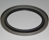 Hard-Wearing Oil Seal with Metal Frame (zb161A)