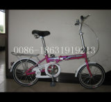 Factory Folding Bicycle with 16
