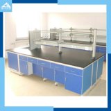 Lab Furniture/Chemical Work Bench
