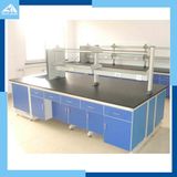 Lab Furniture/Chemical Work Bench