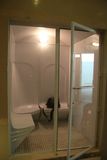 High Quality Acrylic Wet Steam Sauna Room