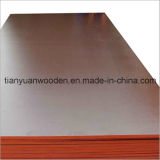 18mm Construction Waterproof Pine Plywood