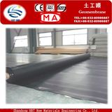 ASTM National Standard HDPE Geomembrane