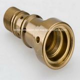 Precision Brass Material OEM Parts by CNC Turning (LM-359)