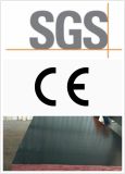 SGS Approved Film Faced Plywood