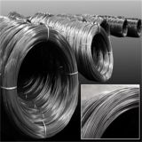 Galvanized Steel Wire Packing in Coil or Wooden Drum for ACSR