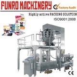 Rotary Packing Machine (6 Station, FR6-300G)