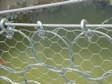 Hexagonal Wire Mesh/Hexagonal Chicken Wire Mesh/Galvanized Hexagonal Wire Mesh