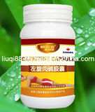 L-Carnitine Slimming Capsule (L-1019)