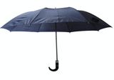Auto Open Crook Handle 2 Fold Umbrella (2FU006)