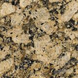 Polished Giallo Fiorito Big Granite Slab