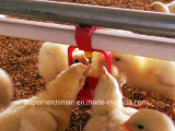 Automatic Nipple Drinking System for Poultry Farm