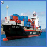 Ocean Shipping & Storage From Guangzhou to USA