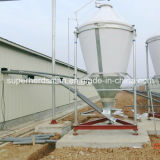 High Quality Automatic Silo System for Poultry House