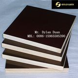 High Quality Film Faced Plywood