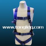 Construction Safety Belt