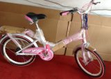 20 Inch Lady Bicycle, Lady Bike, Girls Bike Sb-045