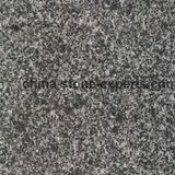 Flamed Arabian Black Granite Paving Stone Cobble Stone G654 (YQG-PV1001)