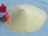 Propylene Glycol Alginate (PGA)