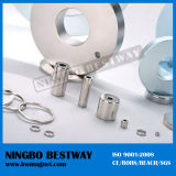 Ring Magnet with Rubber Coating