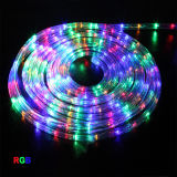 Hot Sales RGB Christmas Decoration Lighting LED Strip Lighting (BT-YG1203)