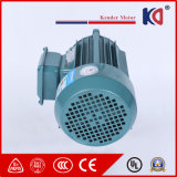 Ys Series Aluminum Phase Electric Motor