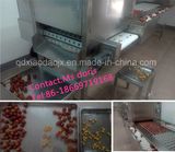 Fruit Pitting Machine/ Fruit Seed Removal Machine/ Fruit Pitted Machine