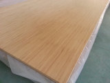 Solid Bamboo Panel