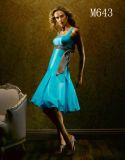 Bridesmaid Dress/Prom Dress(M643)