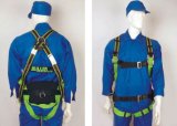 Fall Protection Safety Harness (BA020063)