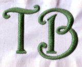 3D Embroidery Digitizing