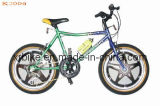 20'' Children Bicycle/Kids Bike (XR-K2006)