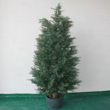 China Wholesale Artificial Cypress Bonsai Tree Decoration Plant