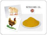 Nutricorn Corn Gluten Meal Feed Additive for Chicken