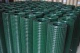 Coated Welded Wire Mesh