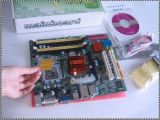 LGA775 Intel Motherboard G41 Support DDR3 and DDR2 Memory