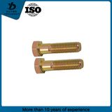 Ss304, Ss316 High Quality Stanliess Steel Hex Bolt Manufacturer