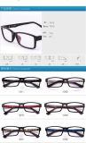High Quality Tr90 Frame Optical Eyewear Glasses