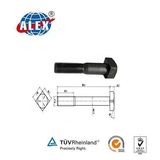 Heavy Square Head Track Bolt for Railroad