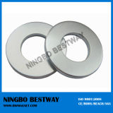 Professional Ring Disc Magnets Manufacturer